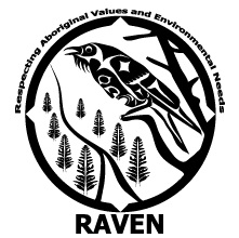 RAVEN logo RAVEN logo